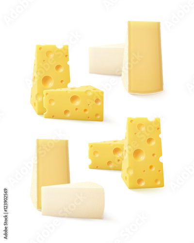Set of Triangular Pieces Cheese Swiss Bri Camembert Isolated