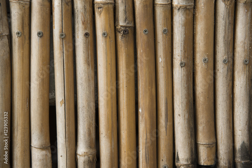 bamboo texture backgroung