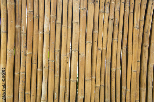 bamboo texture backgroung