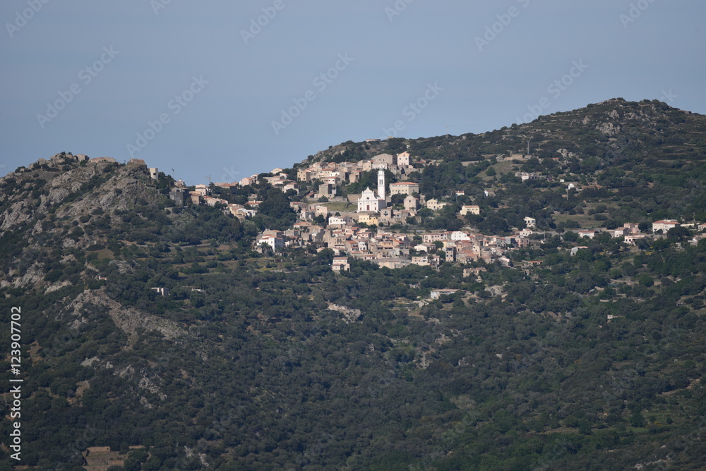 Greeen Corsican mountain with a town Lavatoggio