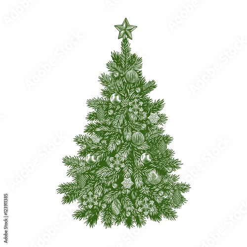 Christmas tree, detailed vintage vector illustration