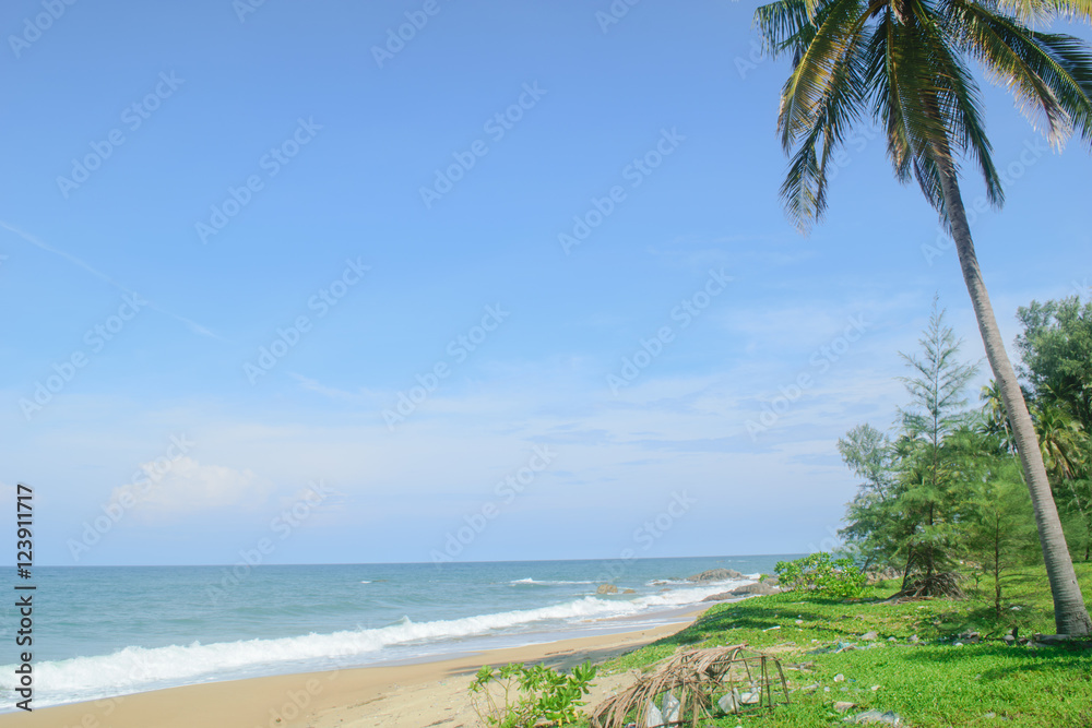 beach view and clear sky landscapes 