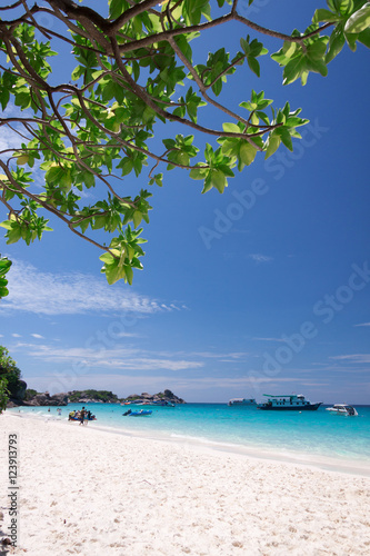 Fototapeta Naklejka Na Ścianę i Meble -  Beautiful tropical beach at Similan island,Thailand