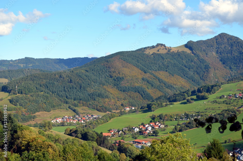 Oberried im Schwarzwald StockFoto Adobe Stock