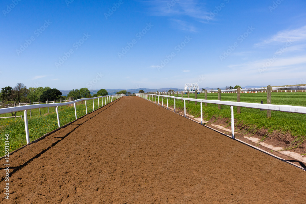 Race Horse Training Track Stock Photo Adobe Stock