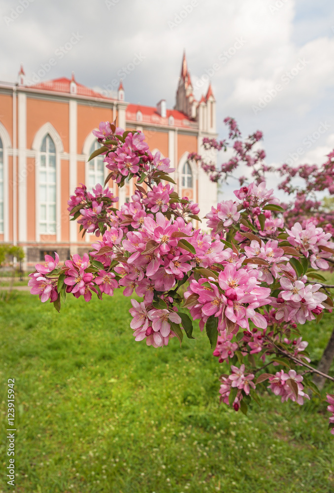 Temple Seventh-day Adventist community in Kiev