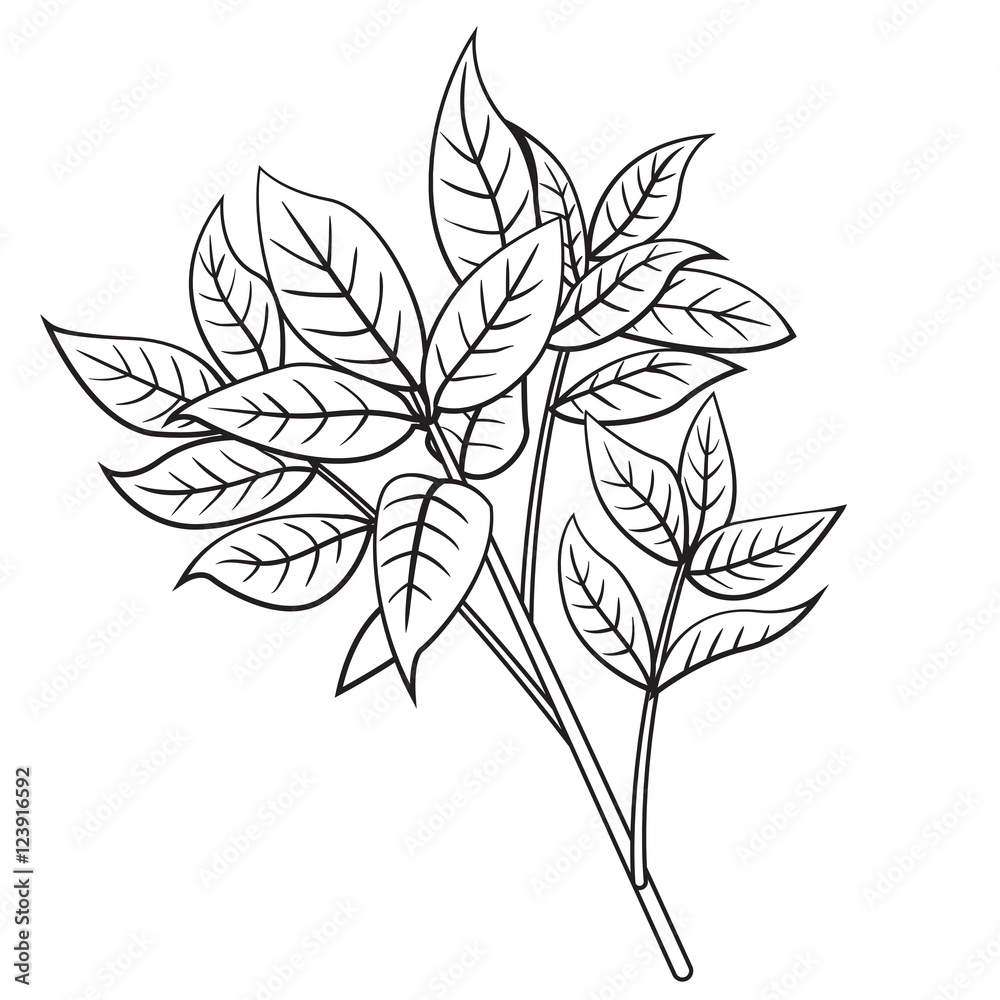 Tree branch cartoon style Tree branch cartoon style