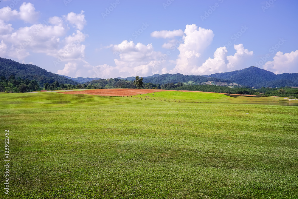 Fototapeta premium green field and blue sky with big clouds