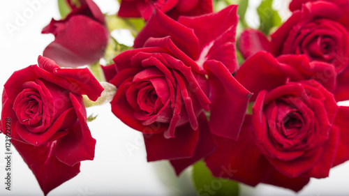 Fototapeta Naklejka Na Ścianę i Meble -  Red roses on a white background
