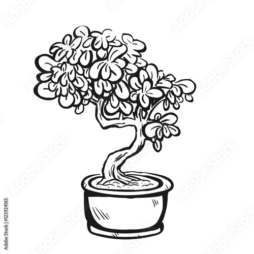 Handdrawn decorative asian bonsai tree in the pot growing on a rock with branched trunk and conifer foliage.