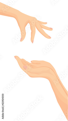 Vector of Hands holding and hands giving 