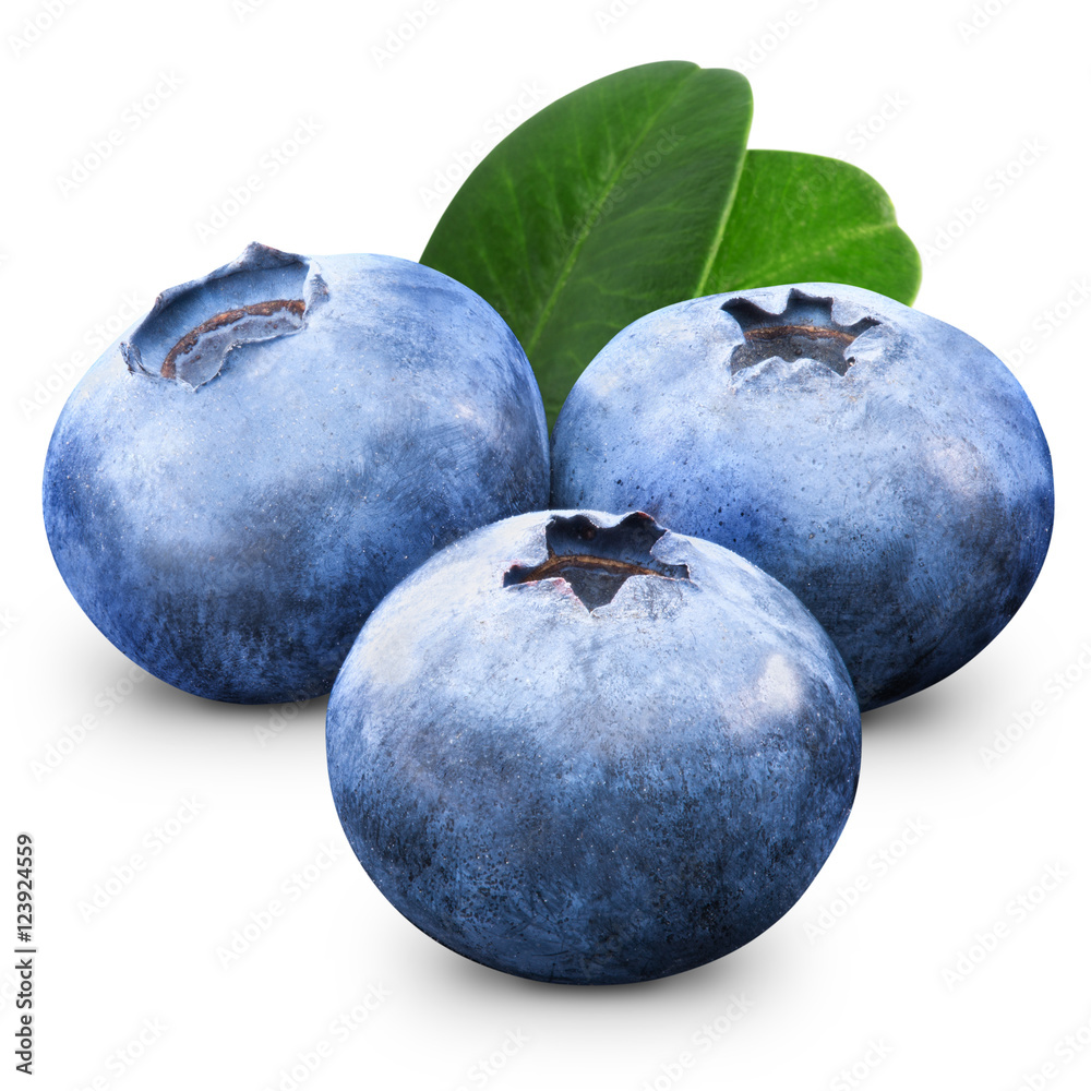 Obraz premium Blueberry isolated on white