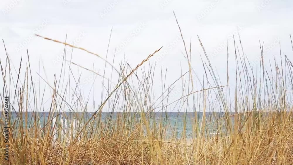 sea landscape in a summer day in northwest coast of Sardinia, famous island for the blue and clean sea sea landscape in a summer day in northwest coast of Sardinia, famous island for the blue and clean sea