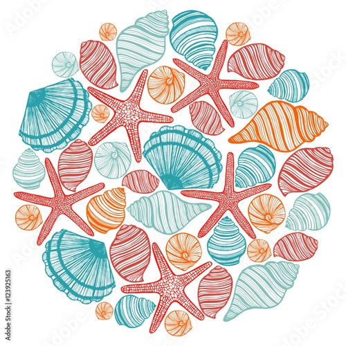 vector composition with shells and starfishes