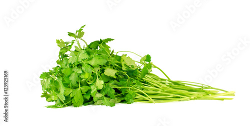 Fresh parsley on a white background