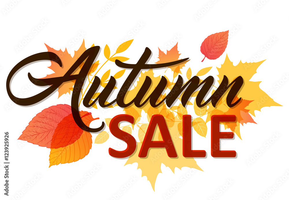 Autumn background for sale Autumn background for sale