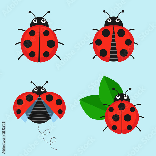 Cartoon ladybug vector set