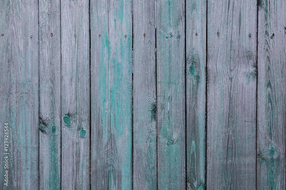 Fototapeta premium Wooden fence painted in green color