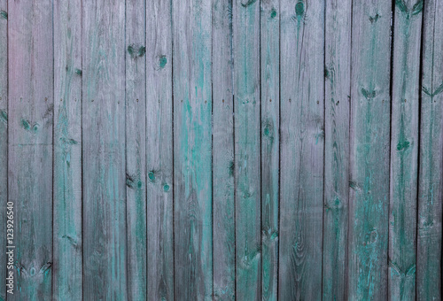 Old wooden fence Green