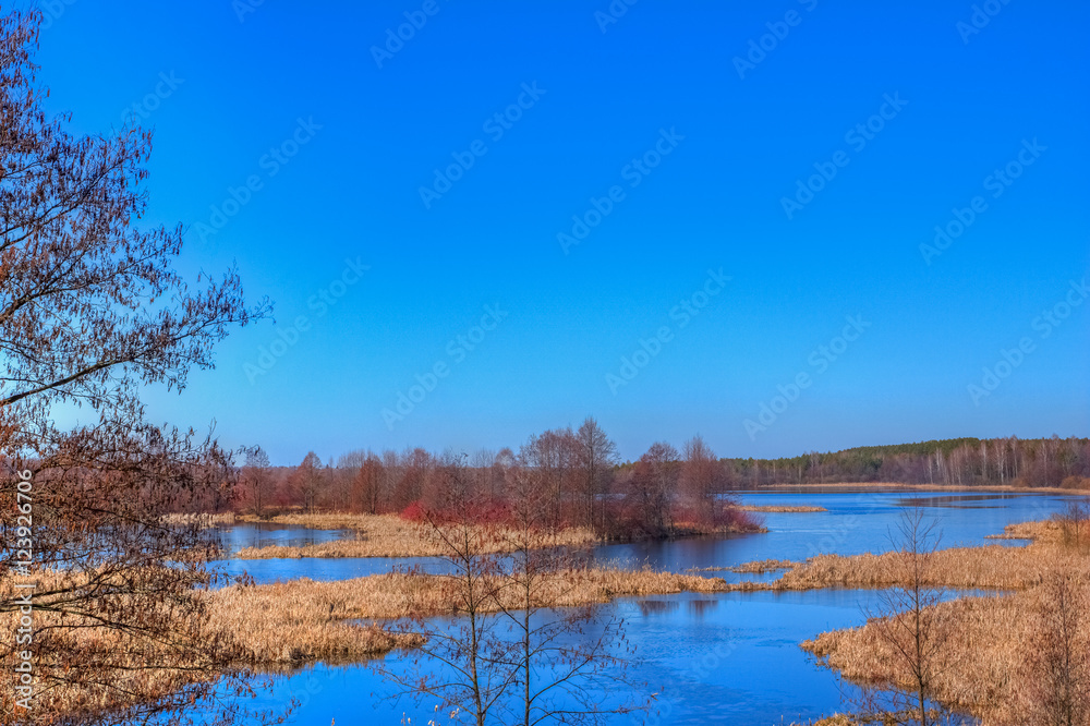 The magnificent landscape of nature with river and dry reed The magnificent landscape of nature with river and dry reed