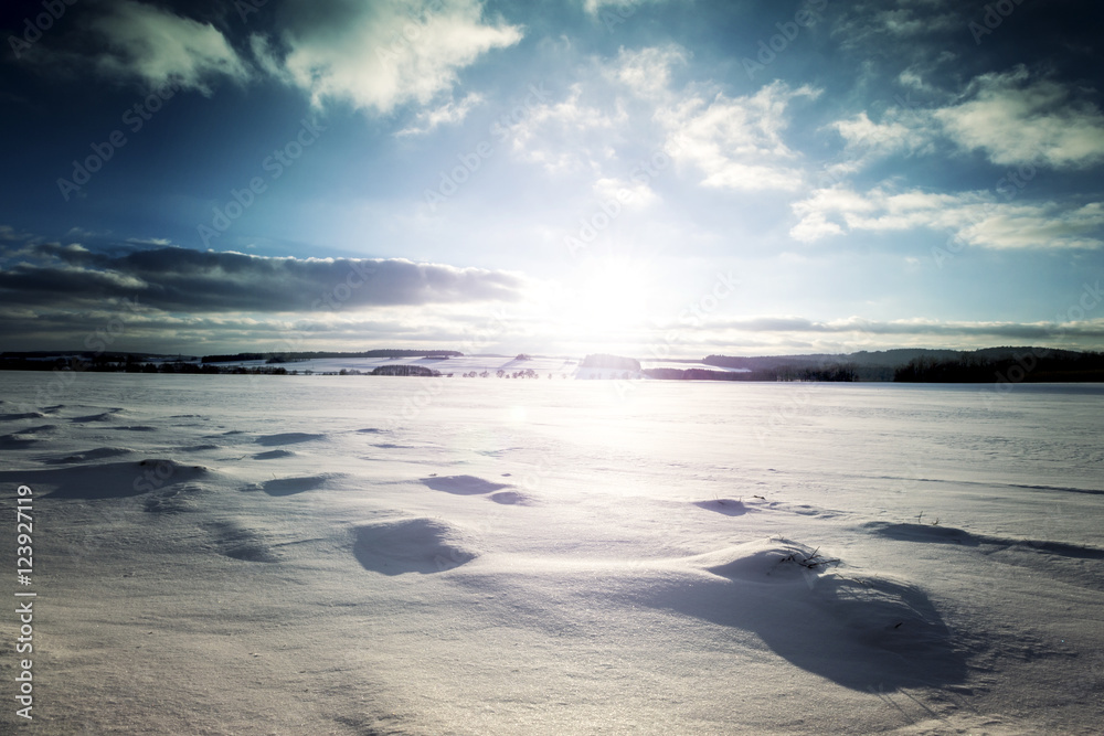 Winter Landscape. Field Covered with Snow and Sun.