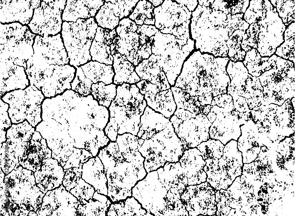 Grunge black and white crack texture background