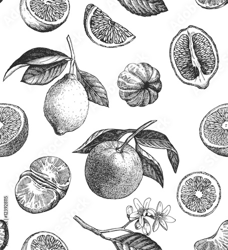 Carta da parati Seamless pattern with citrus fruits