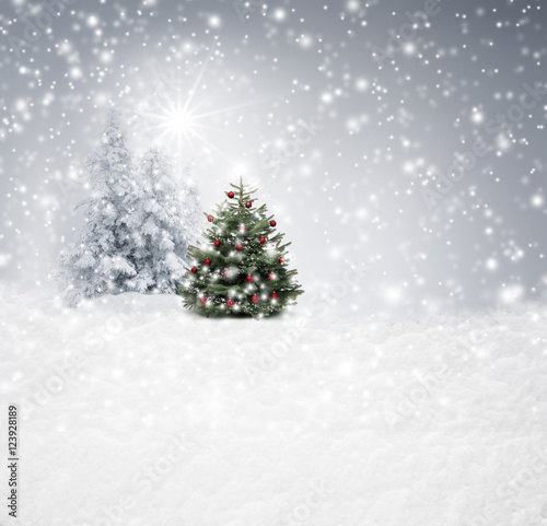Christbaum im Schnee