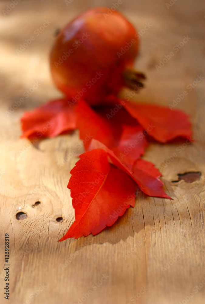 melograno d'autunno e foglie rosse' Stock Photo | Adobe Stock