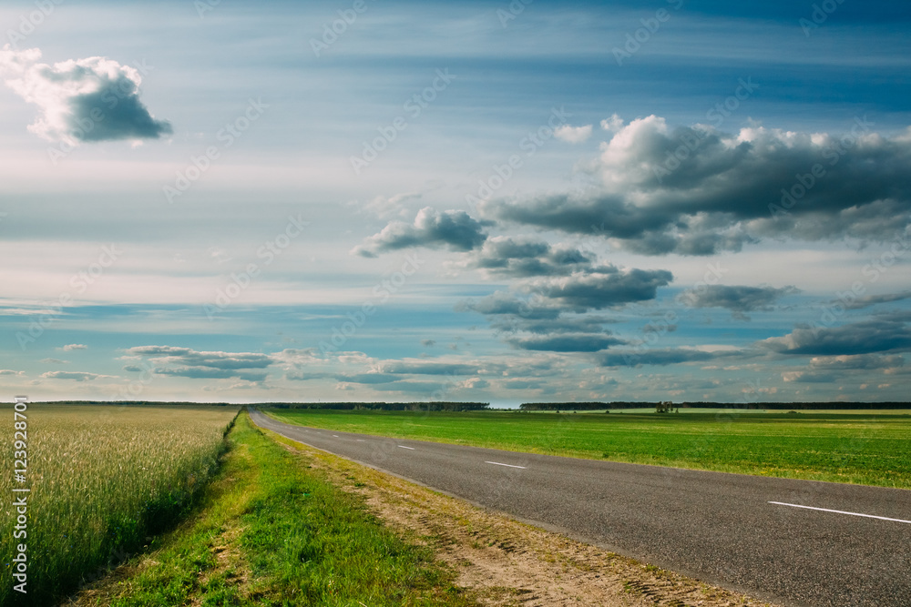 Fototapeta premium Cloudy sky over the green fields and the highway