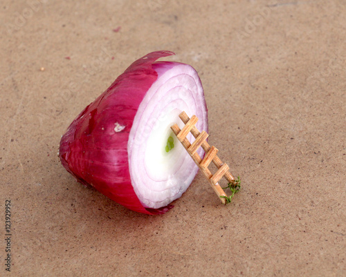 red onion bulb on wood background photo