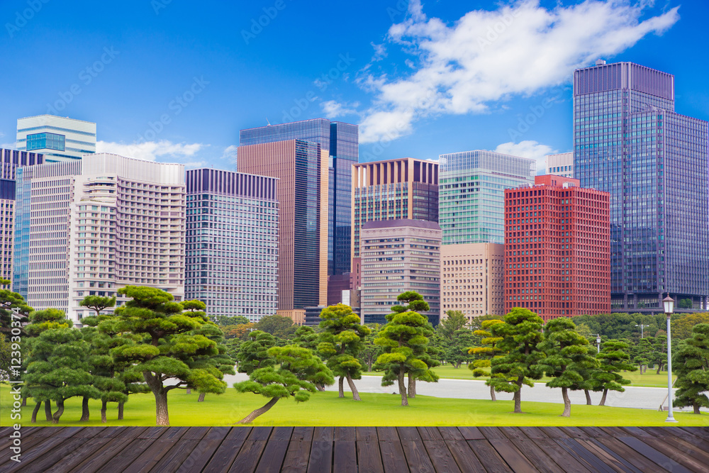 Obraz premium japan