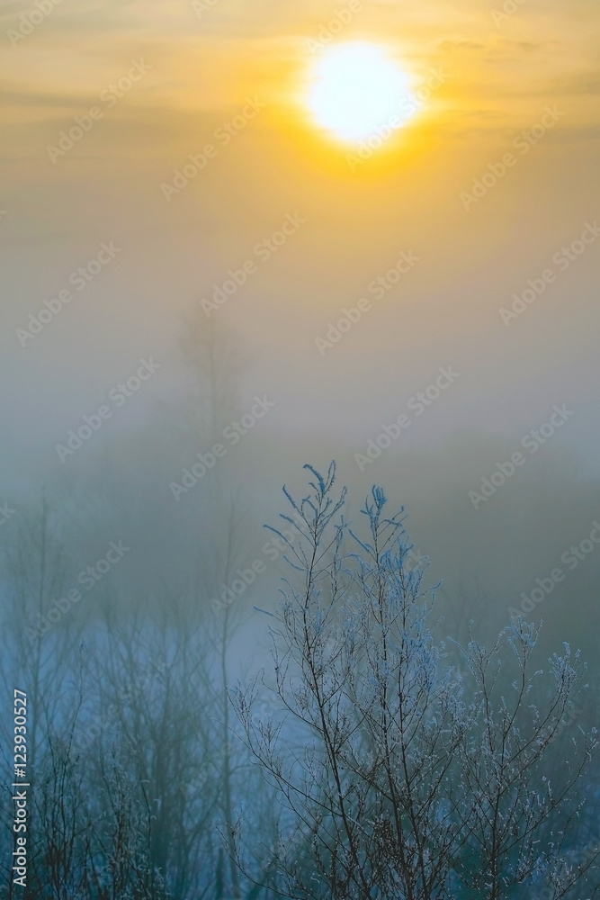 Dawn in a fog