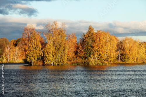 River in autumn forest on a background cloudy sky