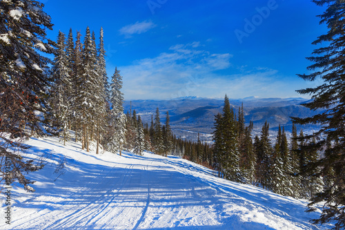 Landscape. Ski trail in the winter coniferous forest. Ski slope.
