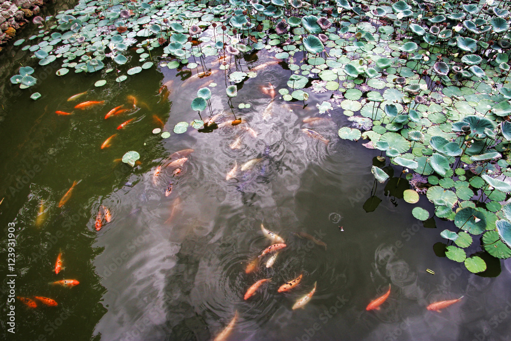 cité impériale vietnam cité impériale vietnam