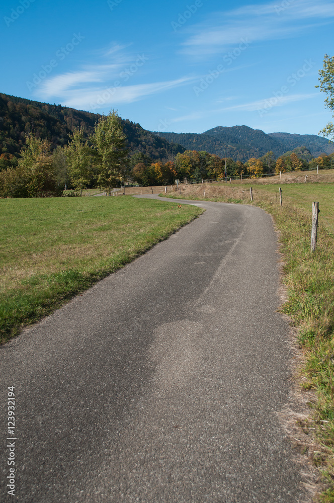 route de campagne en Alsace