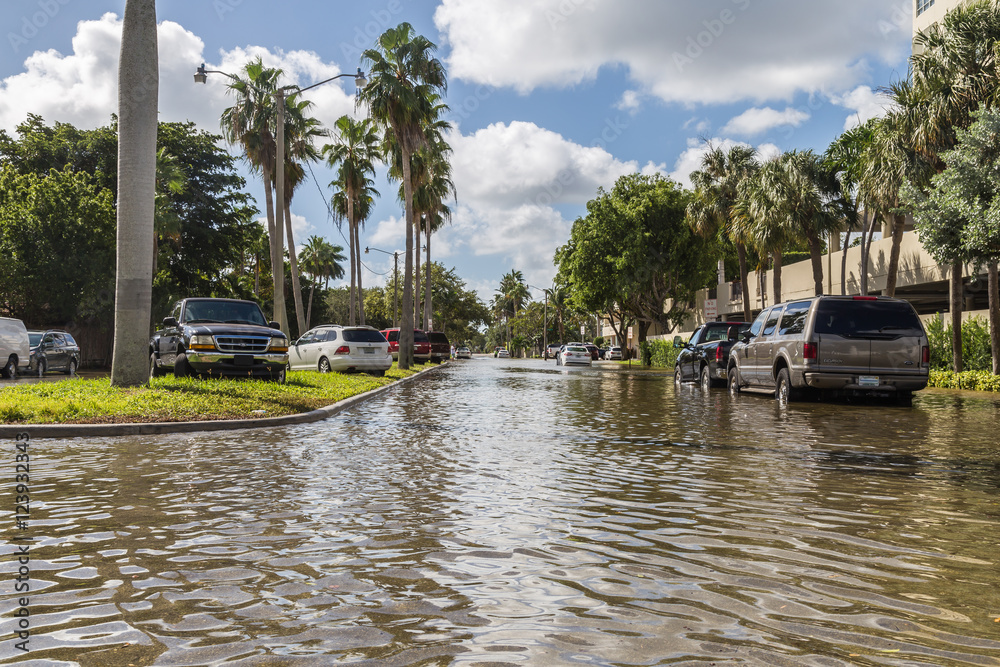 Fototapeta premium flooding on Las Olas, FL/king tide that brings salt water to the streets.
