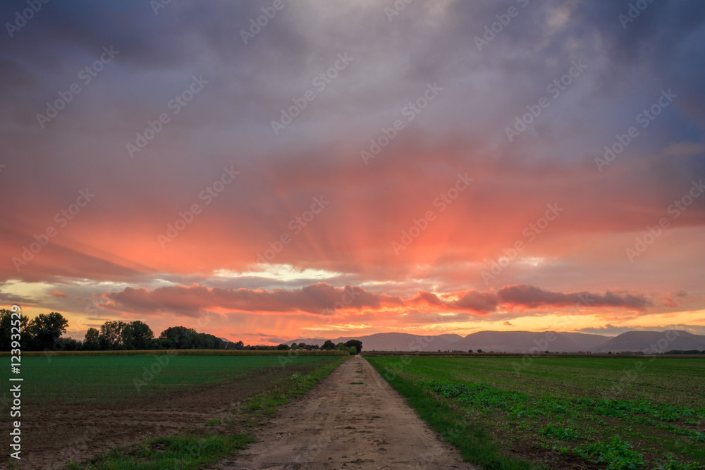 Fototapeta premium Sonnenuntergang
