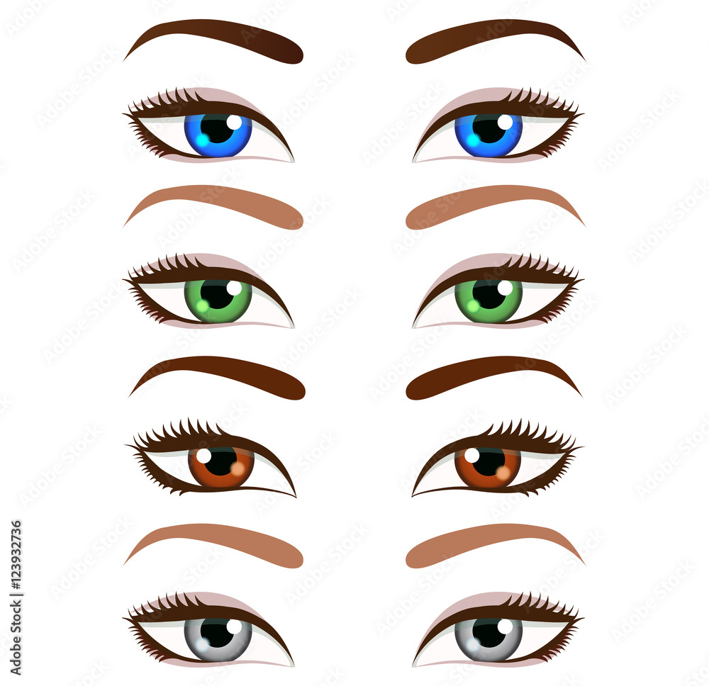 Set of cartoon beautiful women eyes and eyebrows. Vector illustration