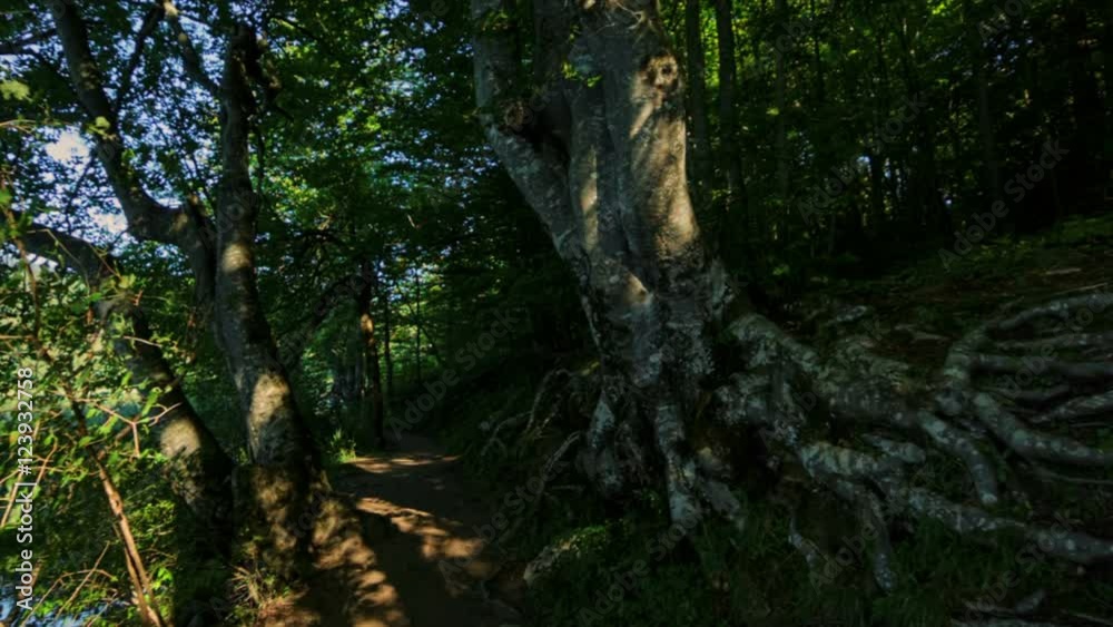 Walking through mountain forest near to the lake, POV steady cam shot personal perspective. View from Plitvice lakes. Walking through mountain forest near to the lake, POV steady cam shot personal perspective. View from Plitvice lakes.