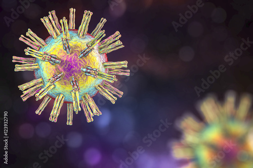 Fotografía Human Herpes simplex virus on colorful background