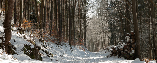 Pile de bois coupé entreposée sur le bord du chemin enneigé