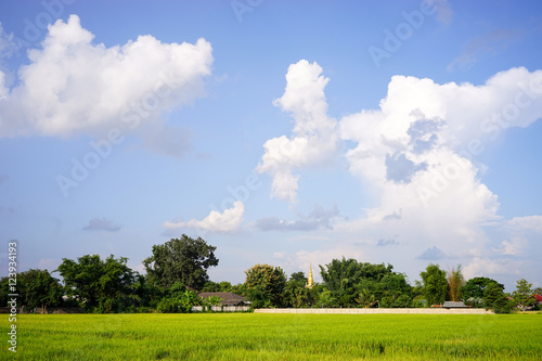 green field and blue sky with big clouds