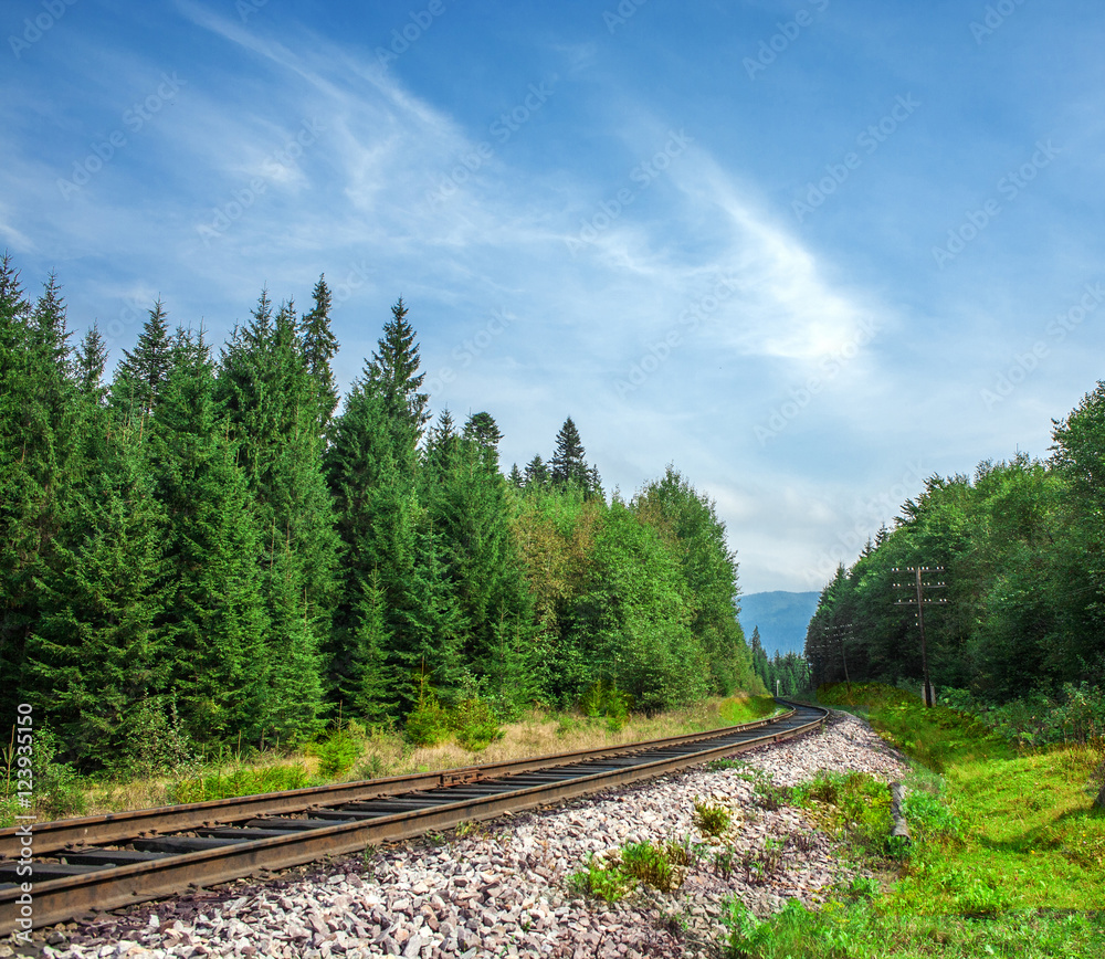 Obraz premium landscape railroad in summer forest day closeup
