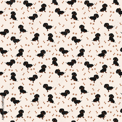 Dogs Dachshund Vector Seamless pattern. Dog Dachshund, bone, paw print.