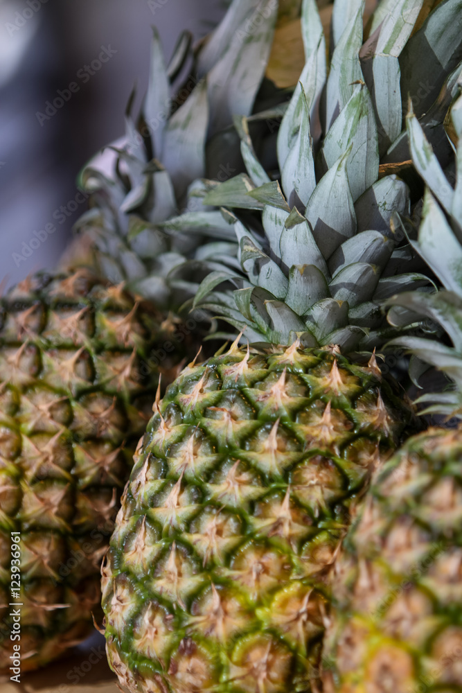Fototapeta premium Pineapples