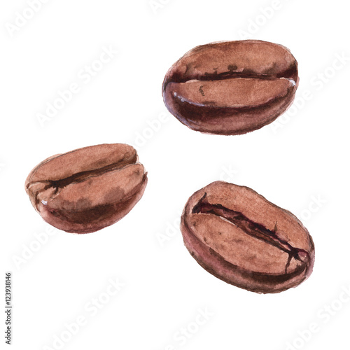 Coffee beans are roasted. Isolated on a white background. Waterc