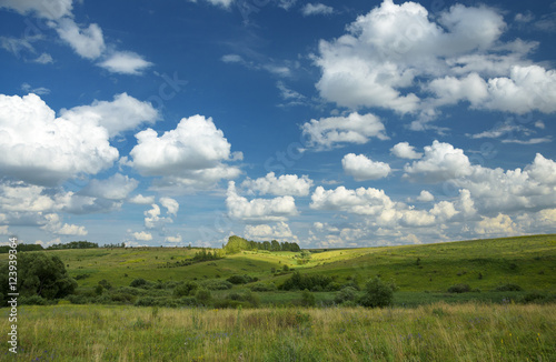 Summer landscape