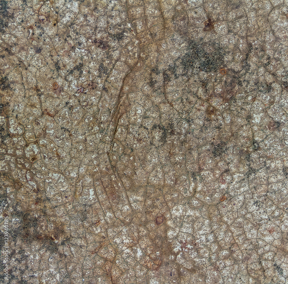 Old Wood Tree Bark Texture Background Pattern Old Wood Tree Bark Texture Background Pattern